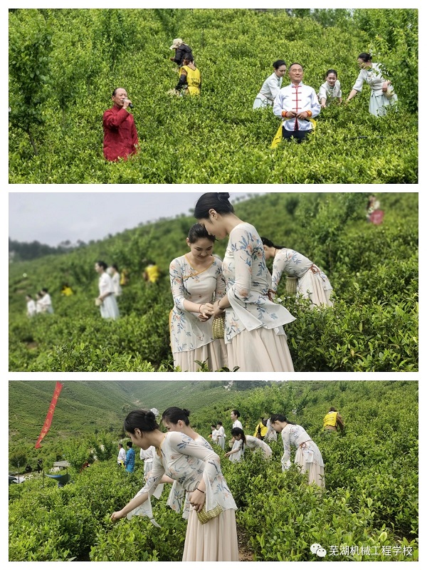 mmexport1682644988679.jpg mmexport1682644988679.jpg