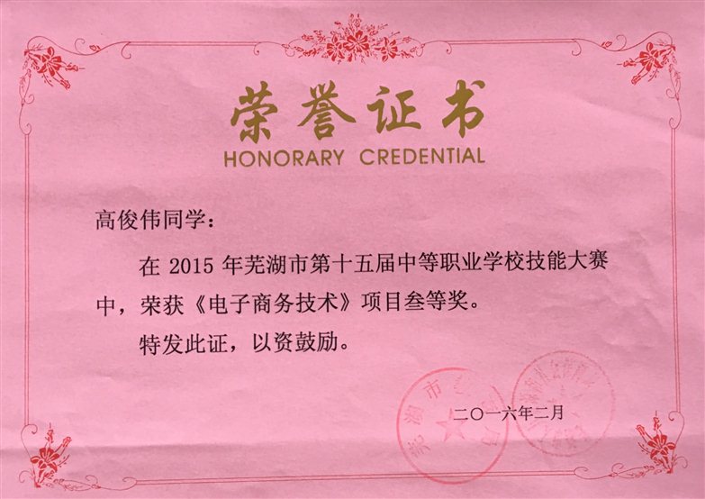 2016-2  市第十五届中职学生技能大赛获得电子商务项目三等奖（高俊伟）.JPG