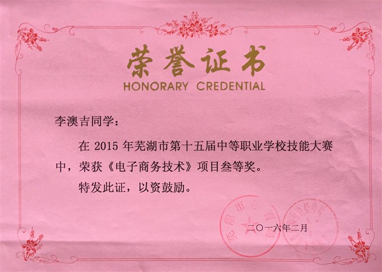 2016-2  市第十五届中职学生技能大赛获得电子商务项目三等奖（李澳吉）.JPG