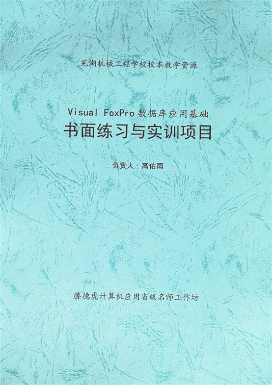 VFP封面.jpg